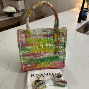 Brahmin, Small Caroline Bag, light green & pink